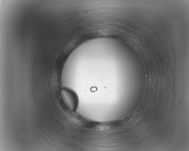 X0000076070220200609221002