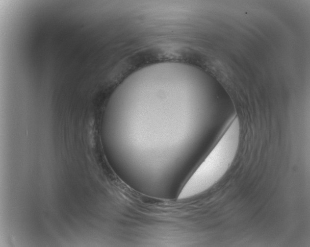 X0000076070223200609221001