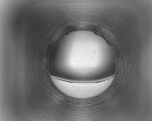 X0000076070225200609221001