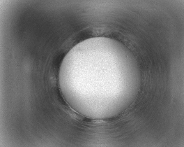 X0000076070226200609221001