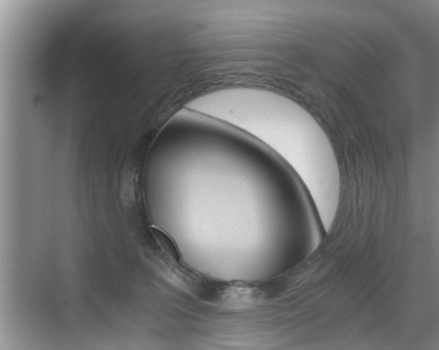 X0000076070227200609221001