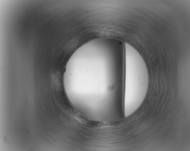 X0000076070228200609221001