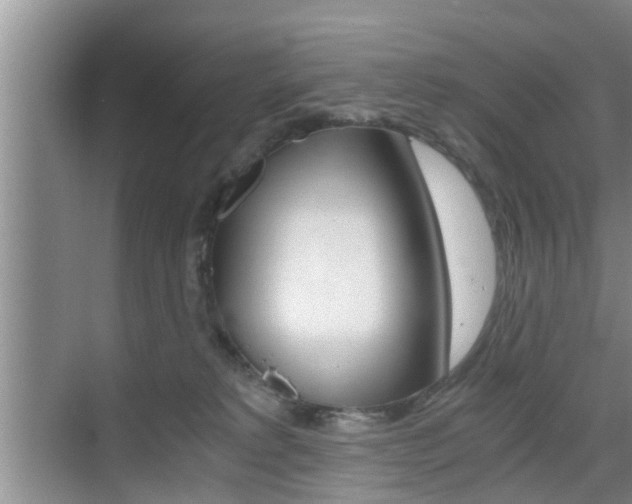 X0000076070229200609221001