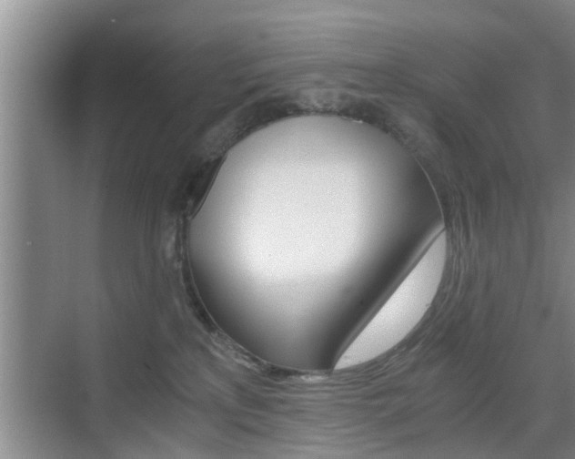 X0000076070233200609221001