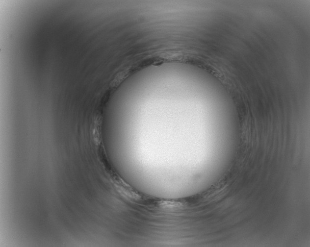 X0000076070234200609221001