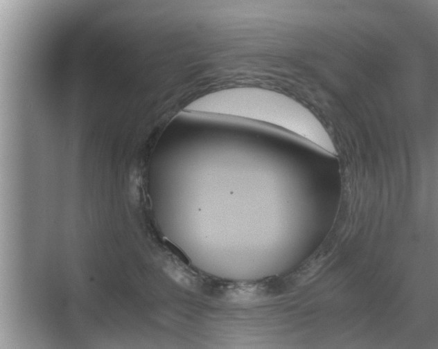 X0000076070235200609221001