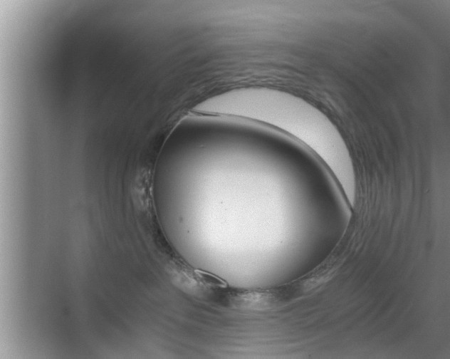 X0000076070237200609221001