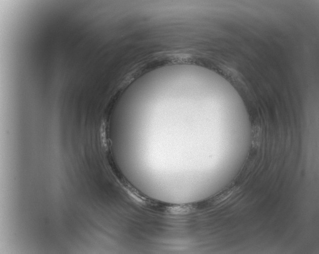 X0000076070238200609221001