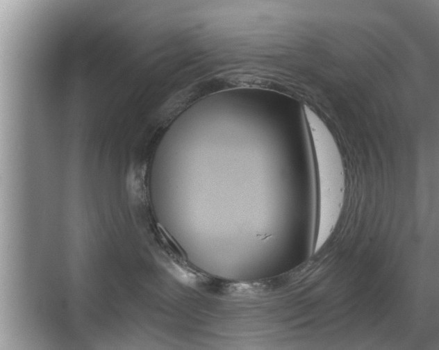 X0000076070239200609221001