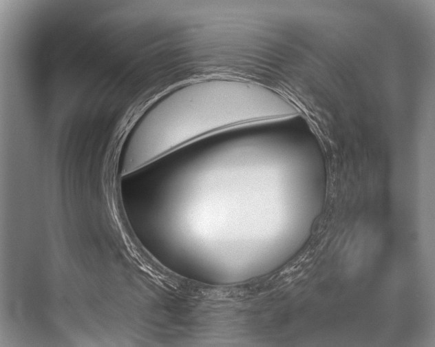 X0000076070241200609221000