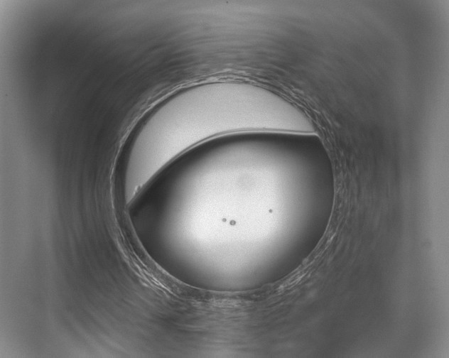 X0000076070242200609221000