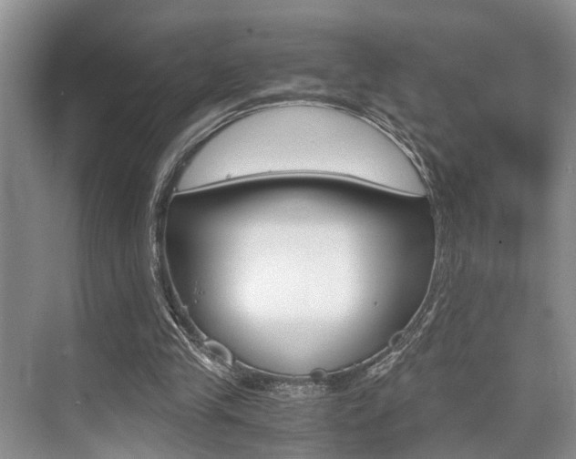 X0000076070245200609221000