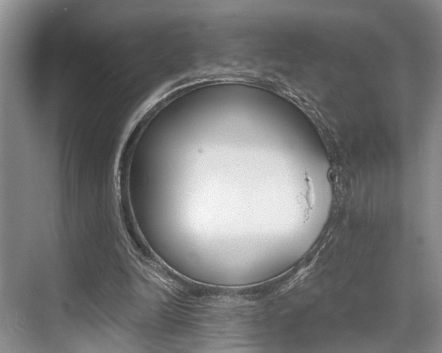 X0000076070246200609221000