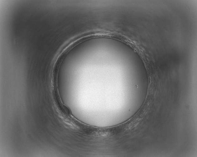 X0000076070247200609221000