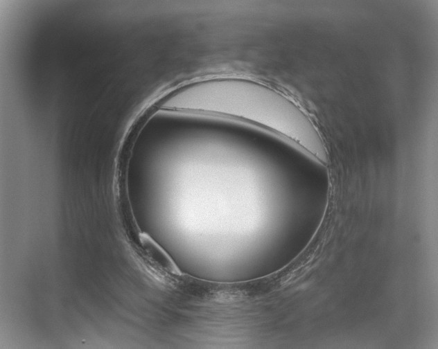 X0000076070248200609221000