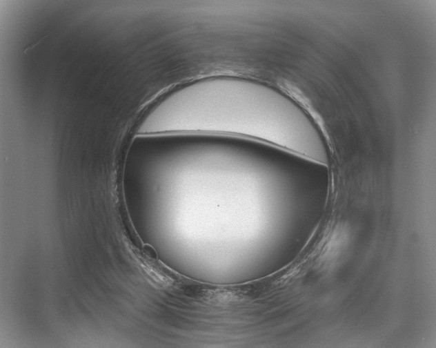 X0000076070249200609221001