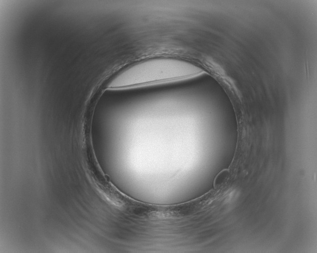 X0000076070250200609221001