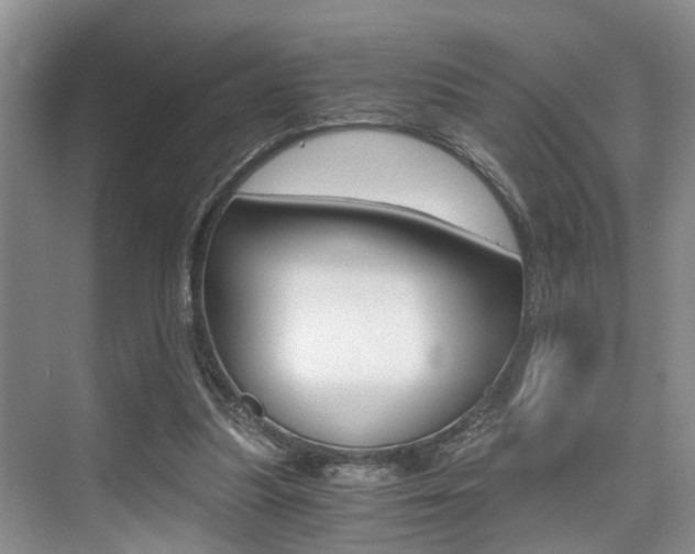 X0000076070251200609221001