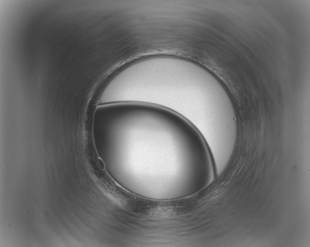 X0000076070252200609221001