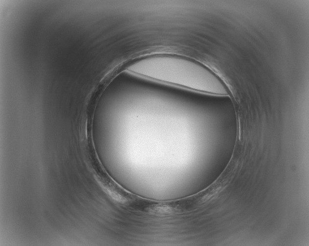 X0000076070253200609221001