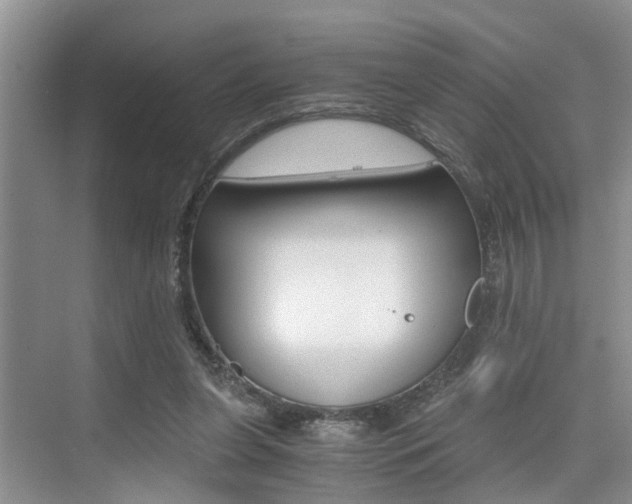 X0000076070255200609221001