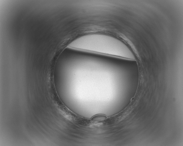 X0000076070257200609221001