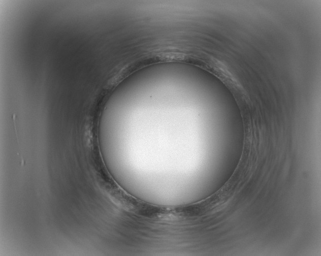 X0000076070259200609221001