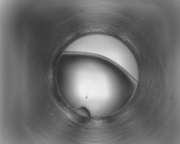 X0000076070260200609221001