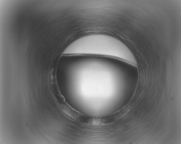 X0000076070264200609221001