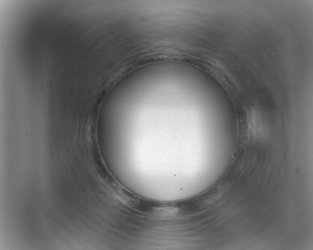 X0000076070266200609221001