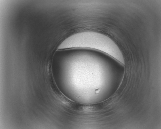 X0000076070268200609221001