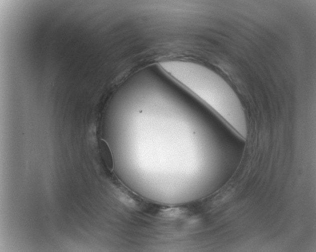 X0000076070269200609221001