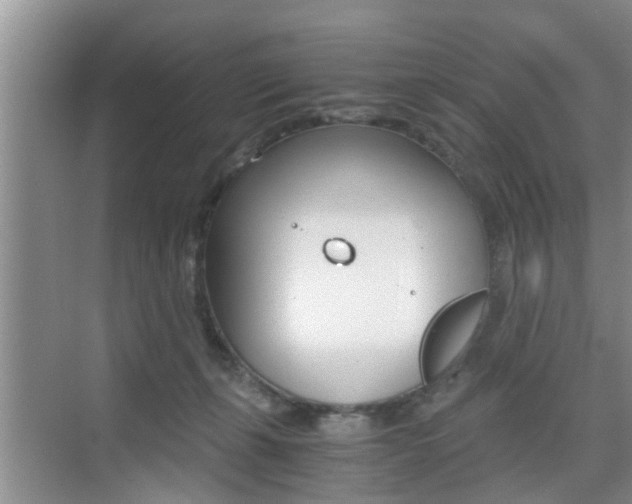 X0000076070271200609221001