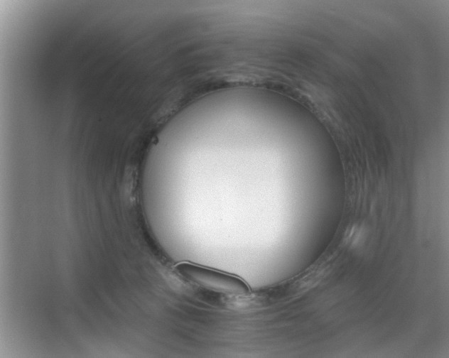 X0000076070273200609221001