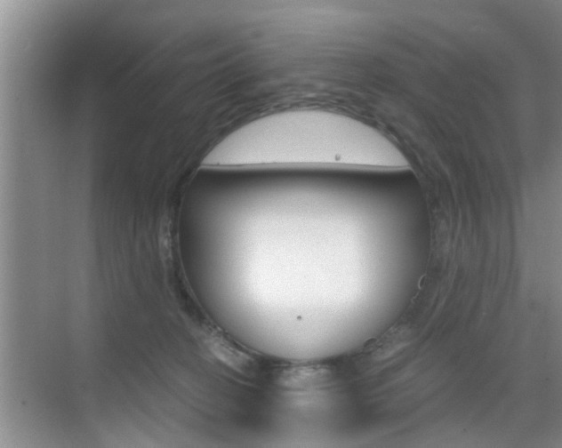 X0000076070274200609221001