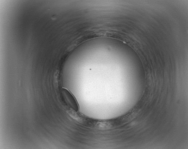 X0000076070275200609221001