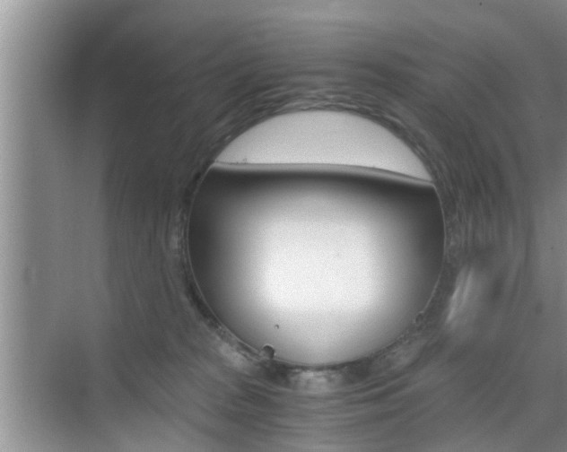 X0000076070277200609221001