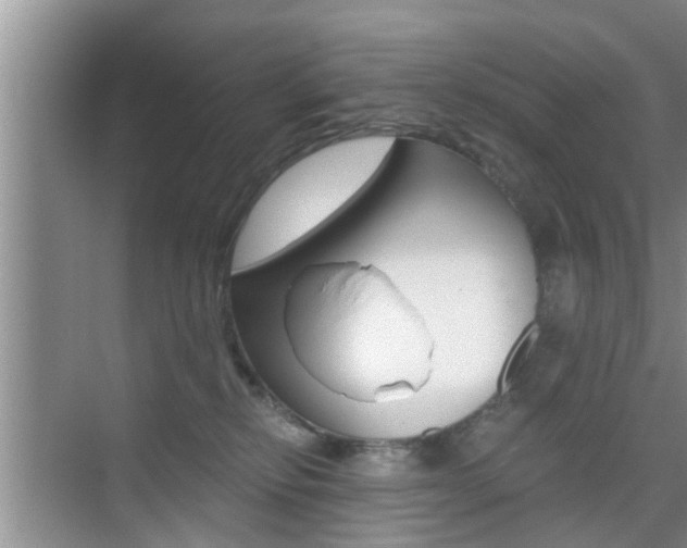 X0000076070278200609221001