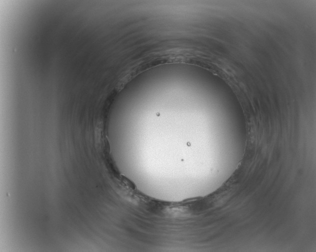 X0000076070283200609221001