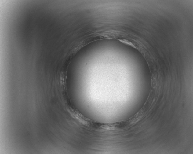 X0000076070284200609221001