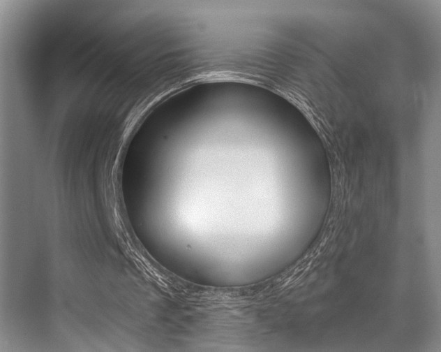 X0000076070289200609221000