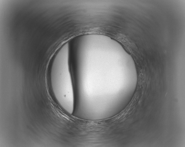 X0000076070290200609221000