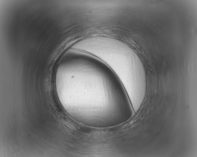 X0000076070291200609221000