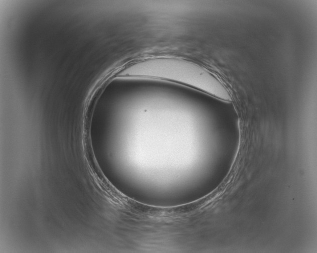 X0000076070293200609221000