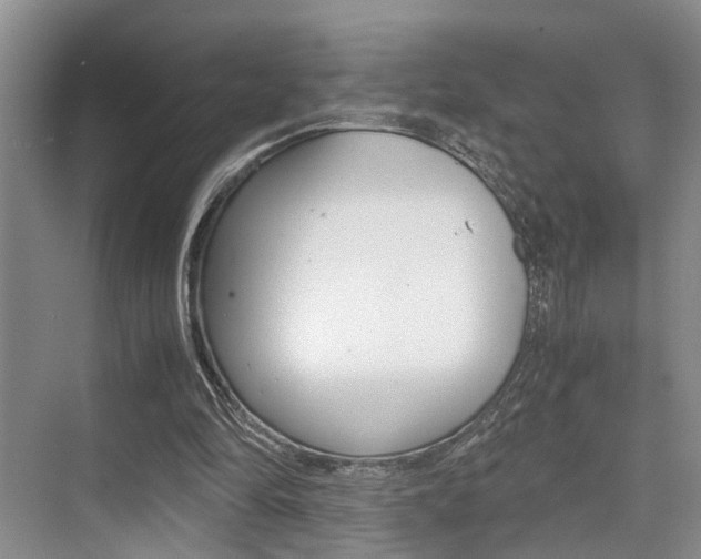 X0000076070294200609221000