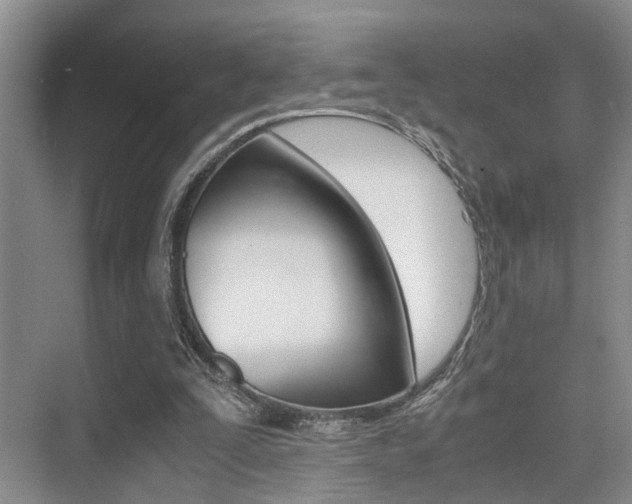 X0000076070295200609221000