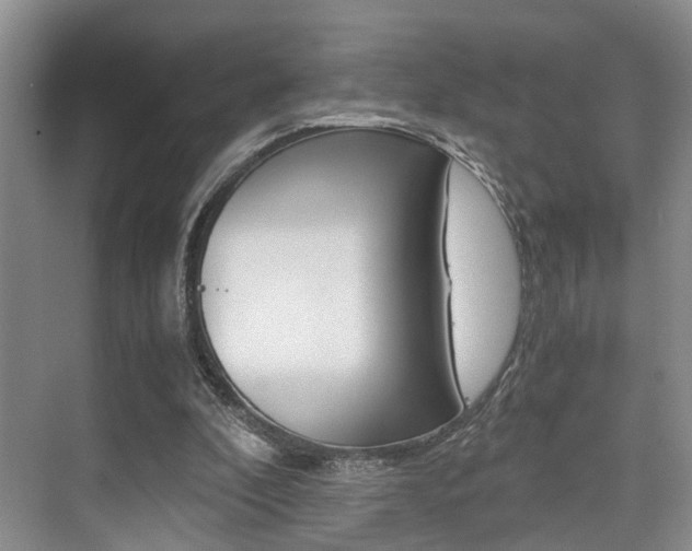 X0000076070296200609221000