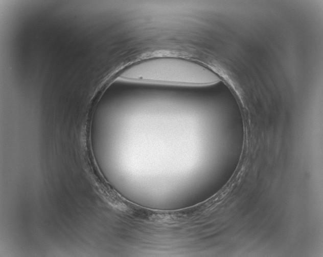 X0000076070297200609221000