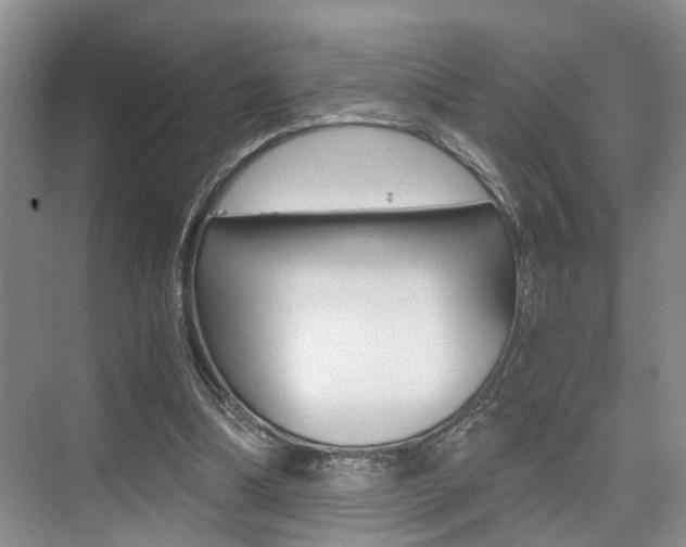 X0000076070298200609221000