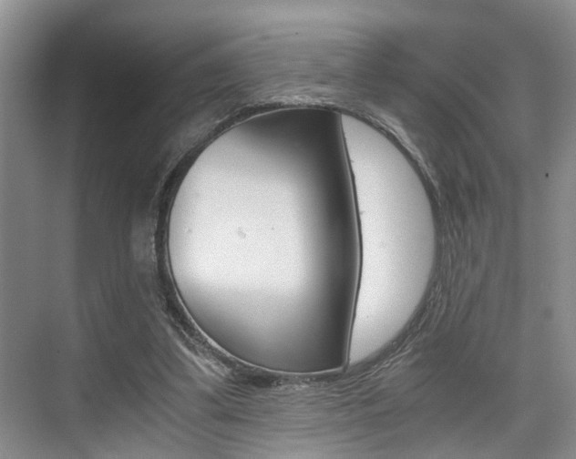 X0000076070299200609221000